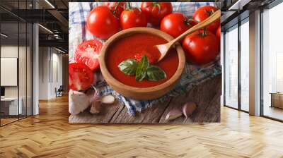 homemade tomato sauce with garlic and basil closeup. horizontal Wall mural