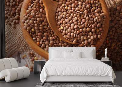 Raw brown lentils in a wooden bowl. Vertical top view
 Wall mural