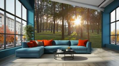 Beautiful summer forest with different trees. Wall mural