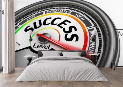 success conceptual meter indicate maximum Wall mural