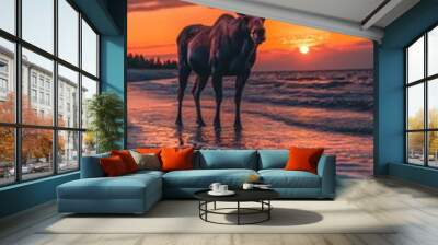 Moose standing on a serene beach, ocean waves gently rolling in under a vibrant sunset. Wall mural