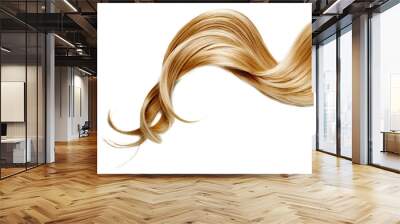 Blond hair isolated on white background. Long wavy ponytail Wall mural