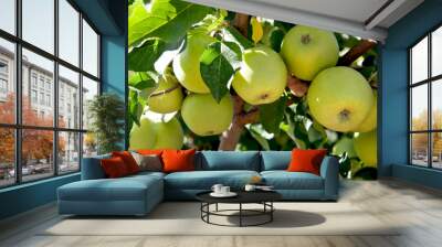 Green Apples in the Orchard Wall mural