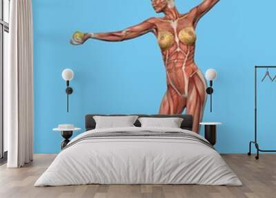 Anatomical front view featuring active muscle motion of woman playing tennis.  Wall mural