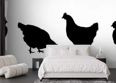 Set realistic black silhouettes standing, walking and pecking hens isolated on white background - vector Wall mural