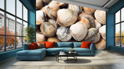 Fresh Cockles Seafood background. Cerastoderma edulis. Bivalve mollusc from Atlantic coast.  Galicia Spain Wall mural