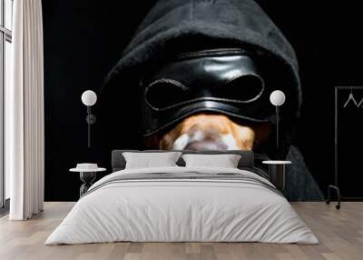 A dog wearing a burglar mask Wall mural