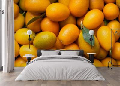 Many kumquat fruits. Kumquat fruit top view. Background from ripe kumquat. Wall mural