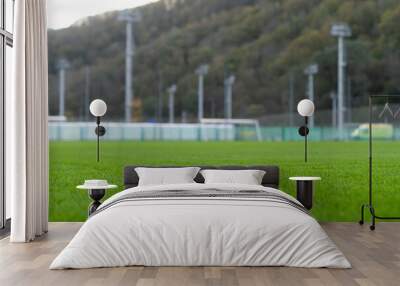 Young green grass on the football pitch. Football field. Young green grass on the football field. Wall mural