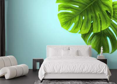 Summer spa flat lay background with monstera leaves, blank space for a text Wall mural