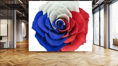 A beautiful, large rose with white, blue and red petals. Tricolor of Pan-Slavic countries and regions. White, isolated background Wall mural