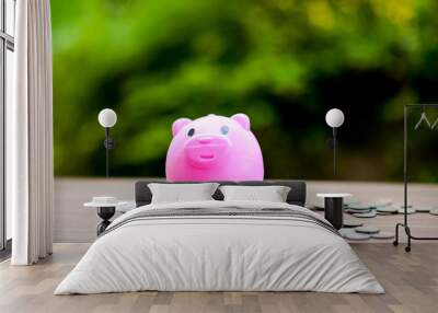 Close-up pictures of money and pigs, saving money Saving money The concept of saving money Wall mural