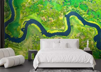 Aerial view of meander in the delta Wall mural