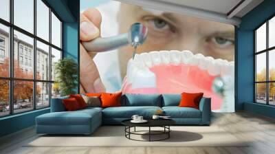 dentist at work Wall mural