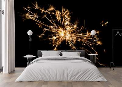 burning sparkler on dark background. Wall mural