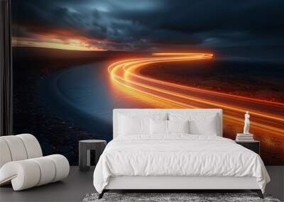 Illuminated Trails of Light: Dynamic Organic Design in Motion Wall mural