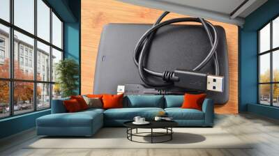 External USB 3.0 hard disc and cable Wall mural