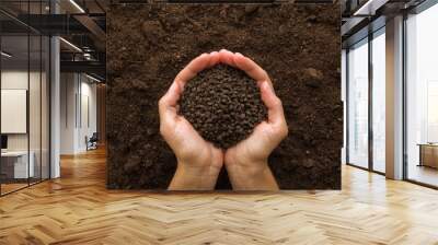 Young adult woman palms holding black granules of chicken manure on dark brown soil background. Product for root feeding of vegetables, flowers and plants. Closeup. Point of view shot. Top down view. Wall mural