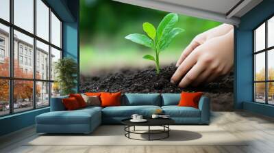 A child gently planting a young seedling in rich, dark soil on a sunny day in a lush garden Wall mural