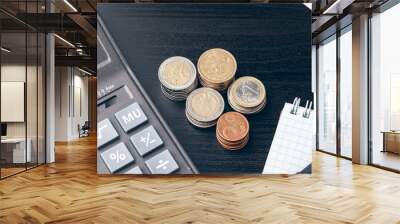 avings, finances, economy and home concept - close up of calculator counting money and making notes at home Wall mural