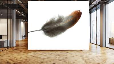 bird feather isolated on white background Wall mural