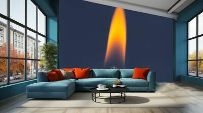 burning match Wall mural