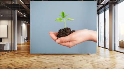 Closeup shot of a woman holding a green plant in palm of her hand. Close up Wall mural