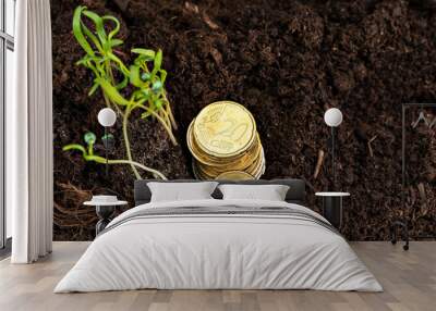 Euro coins and plant sprouts, financial growth concept Wall mural