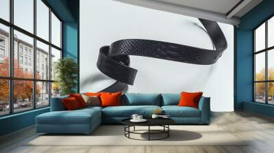 fashionable men's leather belt Wall mural