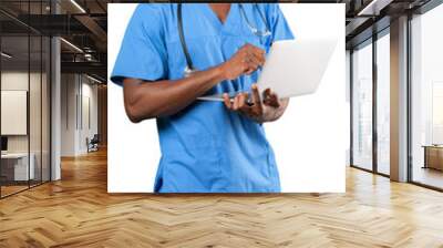 Friendly Afro-American doctor working on a laptop Wall mural