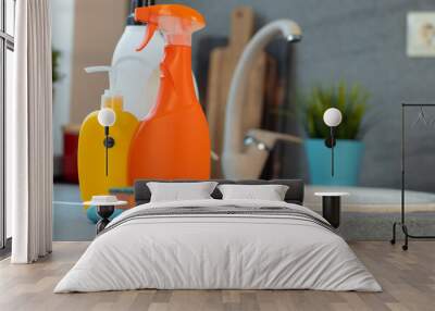 Household chemicals product bottles standing near the kitchen sink Wall mural