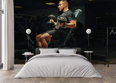 Male with sport body  lifting dumbbells at the gym Wall mural