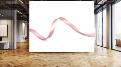 ribbon isolated on white background Wall mural