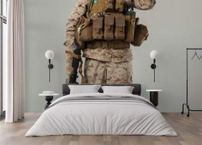 Soldier in camouflage holding rifle Wall mural