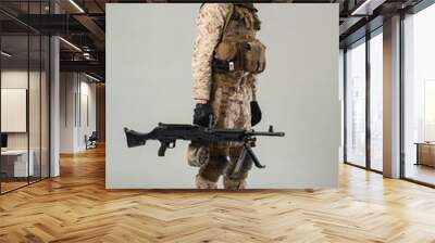 Soldier in camouflage holding rifle Wall mural