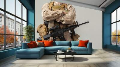 Soldier in camouflage holding rifle Wall mural