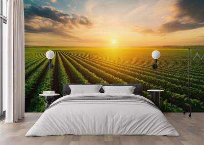 Sunrise over a lush green farm field with rows of crops stretching into the distance Wall mural