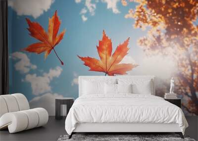 Two vibrant orange maple leaves gracefully drifting against a bright blue sky with fluffy white clouds on an autumn day Wall mural