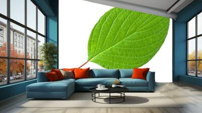 Green leaf with red stem Wall mural