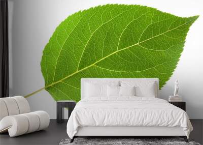 green leaf Wall mural