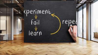 experiment, fail, learn, repeat Wall mural