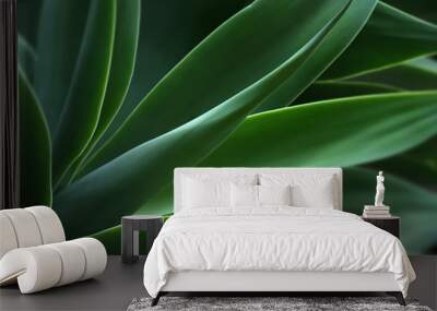 Agave, plant Wall mural