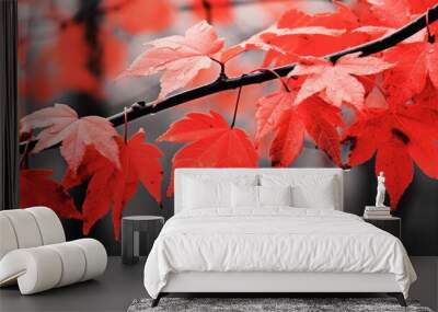 A branch of a tree with vibrant red leaves. Perfect for seasonal designs Wall mural