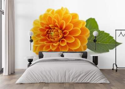 A bright yellow flower grows from the soil on a clean white surface Wall mural