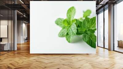 A bunch of fresh mint leaves arranged on a clean white surface Wall mural