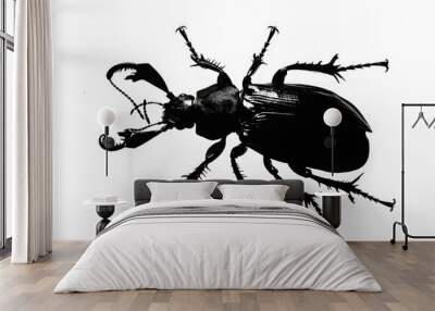 A close-up shot of a black and white beetle on a simple background Wall mural