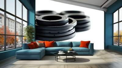 A collection of black rubber rings arranged on a white background Wall mural