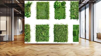 A collection of four different types of grass, great for illustration or decoration Wall mural