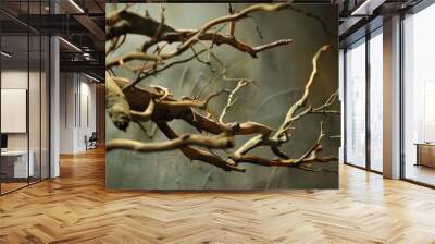 A detailed shot of a tree branch with leaves and twigs Wall mural