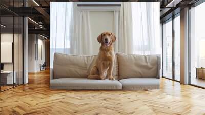 A dog sitting comfortably on a couch in front of a window, perfect for interior designs, pet lovers or advertising purposes Wall mural